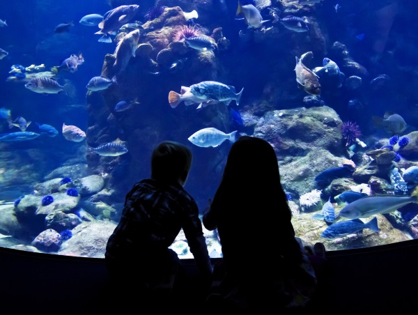 Kids at an Aquarium